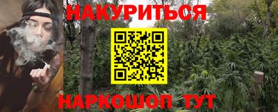 apvp Нальчик