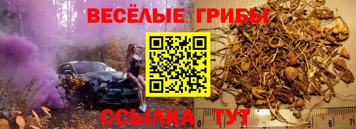 Псилоцибиновые грибы прущие грибы  Вход с VPN  Чайковский  Галлюциногенные грибы MAGIC MUSHROOMS 